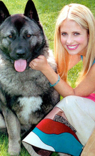 Buffy · Actors